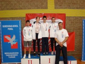 Read more about the article Susedgrad sokol 2018